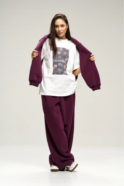 Брюки с начесом Plum Erist store, цвет: сливовый, НФ-00003020 купить онлайн