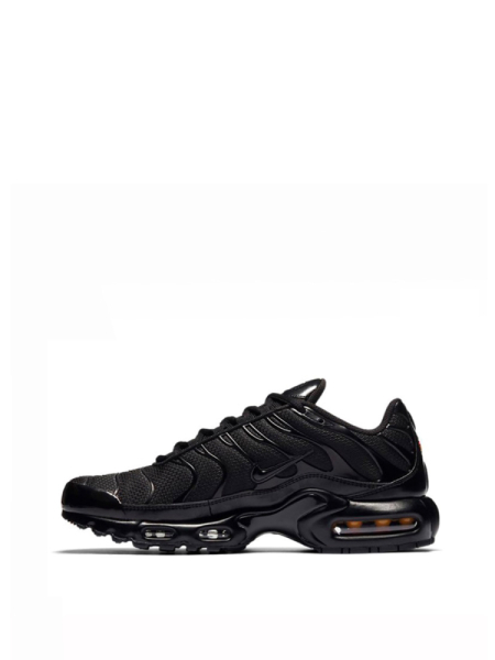 Кроссовки Nike Air Max Plus TN Triple Black
