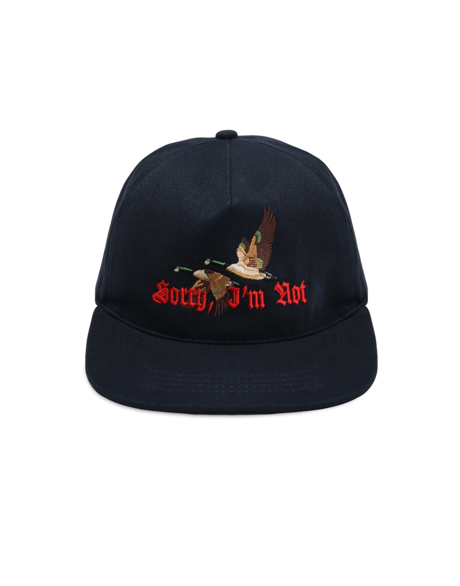 Кепка SNAPBACK WILD DUCKS