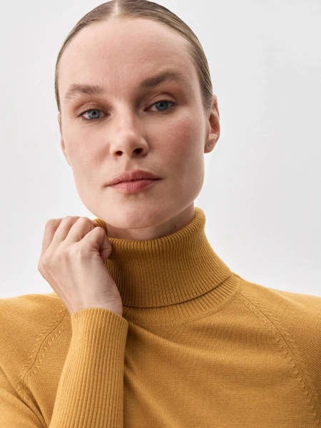 Водолазка FORTE ANNA PEKUN, цвет: оранжевый, 42.1254.230 купить онлайн