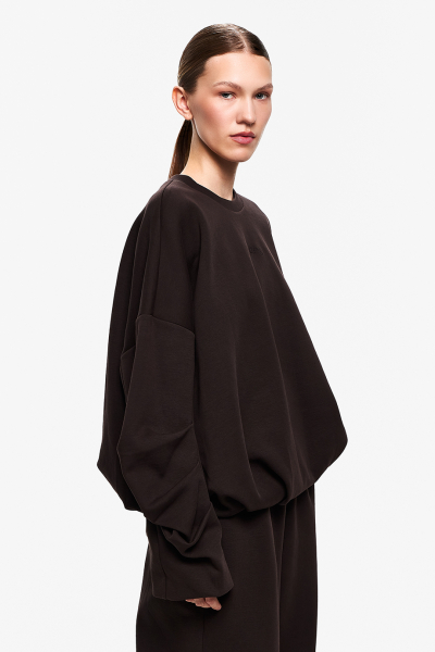 Толстовка DREAMS BY ALENA AKHMADULLINA, цвет: коричневый, 225103160404224/408000 купить онлайн