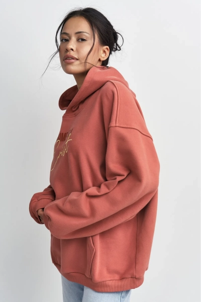 Худи с принтом Erist store, цвет: терракотовый, НФ-00003409 купить онлайн