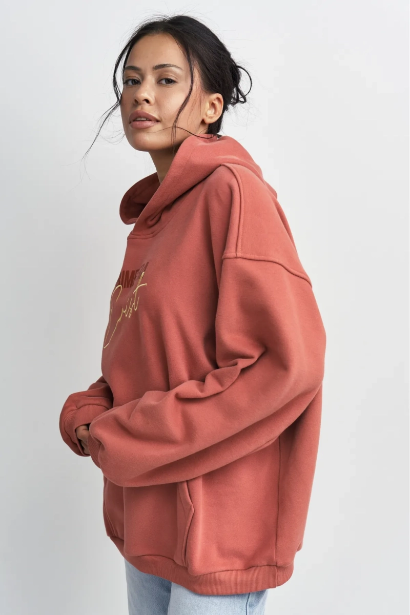 Худи с принтом Erist store, цвет: терракотовый, НФ-00003409 купить онлайн