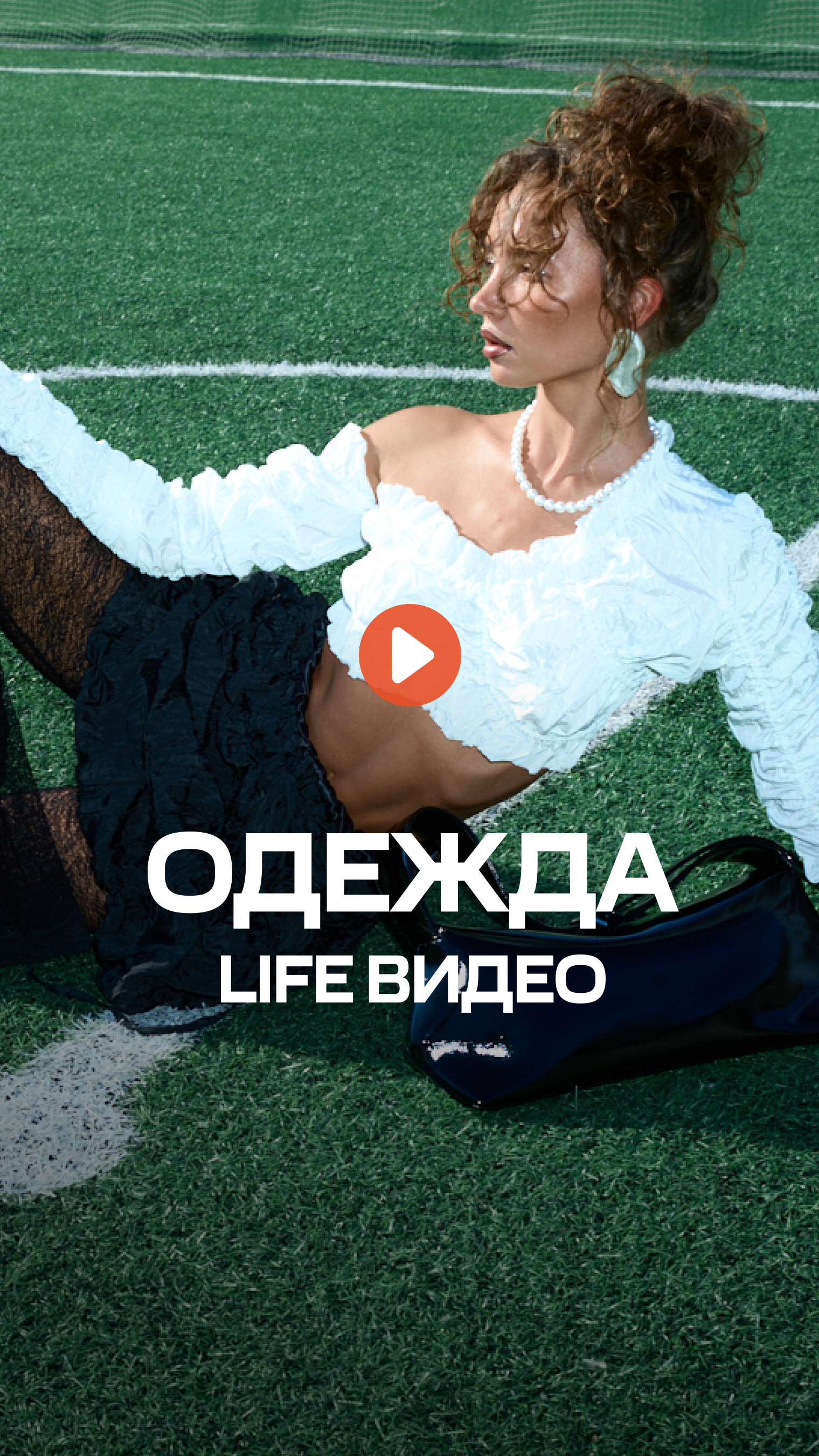Одежда